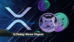 SHIB May Finally Take over SOL, Millions of XRP Moved by Bitstamp, Capital Venture Founder Makes Prediction on Ripple Case Resolution: Crypto News Digest by U.Today