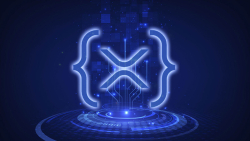 XRPL: Big Milestone Hit as Defi AMM Is Live for Testing