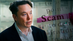 Elon Musk Dogecoin Scam Promoted by Hacked Account of UK MP