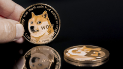 DOGE Now Wanted Desperately by BSC Whales, Here's Why