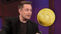 Elon Musk Reaffirms Support for Dogecoin, DOGE Price Rallies  