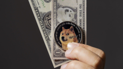 Dogecoin's (DOGE) Profitability Remains Above 62% Despite Price Reversal