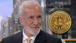 Peter Schiff Has “Christmas Gift” for Bitcoin Holders 