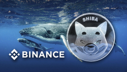 Hundreds of Billions of SHIB Moved by Mysterious Whales to Binance as Price Shows Some Gains
