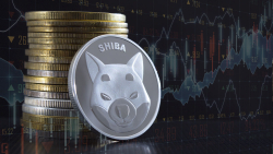 SHIB Large Transactions up Whopping 479%, What's Happening?