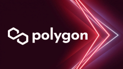 Polygon (MATIC) Slammed by Solana Cheerleader for Centralization and Low TPS, Co-founder Responds