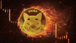 Shiba Inu (SHIB) Burn Rate Flashes 900% Rise, What's Happening?