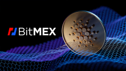 Cardano (ADA) and Other Cryptocurrencies Now Available on BitMEX Exchange