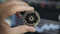 Cardano Protected Much Better Than FTX from Crash and Bankruptcy: Source