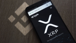 Astonishing 300 Million XRP Moved from Binance, Here's Why and Where To