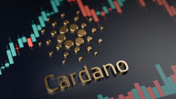 Cardano Network Experiencing Strong Growth in New Wallets, Here's Why It May Be Happening