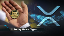 Millionaire XRP Whales Quickly Increase Holdings, Binance Sees $2 Billion Outflow After Criminal Charges News, SHIB Back on Investors’ Radar: Crypto News Digest by U.Today