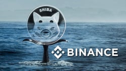 Hundreds of Billions of Shiba Inu (SHIB) Sent to Binance – Are Whales Depositing Back?