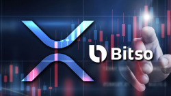 Dozens of Millions of XRP Moved by Ripple's Key Partner Bitso, Here's What Happened