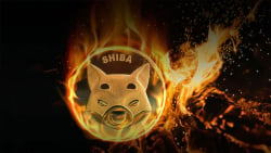 Shiba Inu Burn Rate Jumps 706% as Holder Number Soars High Overnight