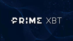 PrimeXBT Review: Trading Solutions and Conditions