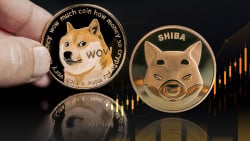 Shiba Inu (SHIB) Soars 13% Against Dogecoin (DOGE) and That May Not Be All Yet