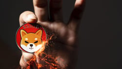 Shiba Inu (SHIB) Burning Extremely Different Since December: Details