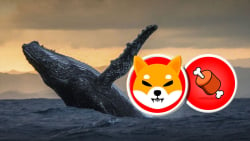 SHIB: Why Are Whales Buying BONE Token, Reason Might Be Surprising
