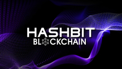 HBC20 by HBIT Addresses Modern Blockchain Limitations