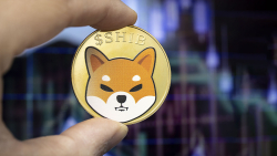 Lead Shiba Inu Developer Apologizes as Countdown Ends Up Being Nothingburger