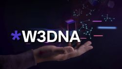 W3DNA Domain System Addresses Major Bottlenecks of Domains Registration Process