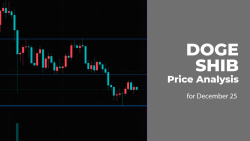 DOGE and SHIB Price Analysis for December 25