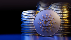 Cardano Excelling in This Regard as Year Rounds Up: Details