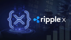 RippleX Starts Giving Away Money to XRPL Developers, Here's What It's For