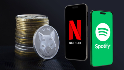 SHIB Accepted as Payment for Netflix, Spotify Subscriptions via This Integration
