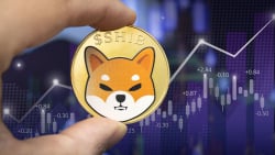 SHIB Gains 28% Against DOGE in December as Major Release Is Expected