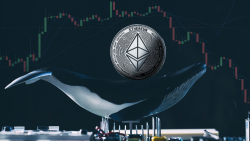 Almost 1 Million Ethereum Were Sold by Whales, Causing Drop in December