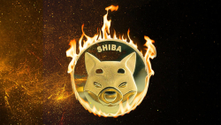 Shiba Inu Burn Address Used by Vitalik Buterin Now Reaches 410 Trillion Burned SHIB
