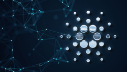 Cardano Now Most Actively Developed Chain in 2022: Details