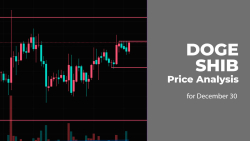 DOGE and SHIB Price Analysis for December 30