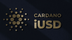 Cardano's First Stablecoin: What You Should Know About iUSD