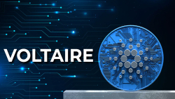 Everything You Need to Know About Voltaire, New Era of Cardano (ADA)