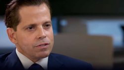 Anthony Scaramucci Highlights BTC's Resilience over Prominent Stocks