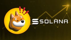 SOL Up 13% as Hype Around Solana's Meme Coin Breaks Out