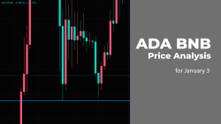 ADA and BNB Price Analysis for January 3