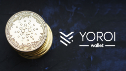 Cardano-based Yoroi Wallet Sunsets Support for Ergo Token: Details