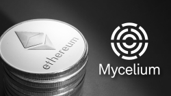 Mycelium DeFi Exploited Due to Price Feed Issues