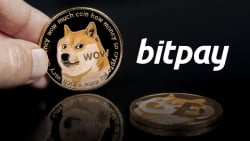 Dogecoin (DOGE) Becomes 4th Most Popular Crypto on BitPay
