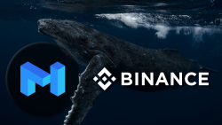 MATIC Whale Moves Almost $8 Million to Binance, Price Reacts