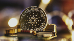 Cardano's Key Ecosystem Metric up 30% in 2023, Here's What You Should Know