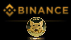 New Details on 4 Trillion SHIB Moved by Binance – Shiba Inu Staking Performed