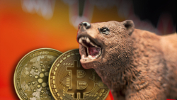 Bitcoin (BTC), Cardano (ADA): Crypto Capital Founder Predicts Bulls' Return Based on This One Thing