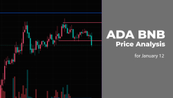 ADA and BNB Price Analysis for January 12