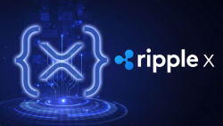 RippleX Announces Recipients of $2.6 Million XRPL Grant: Details