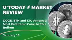 DOGE, ETH and LTC Among 3 Most Profitable Coins in This Bullrun: Crypto Market Review, Jan. 16